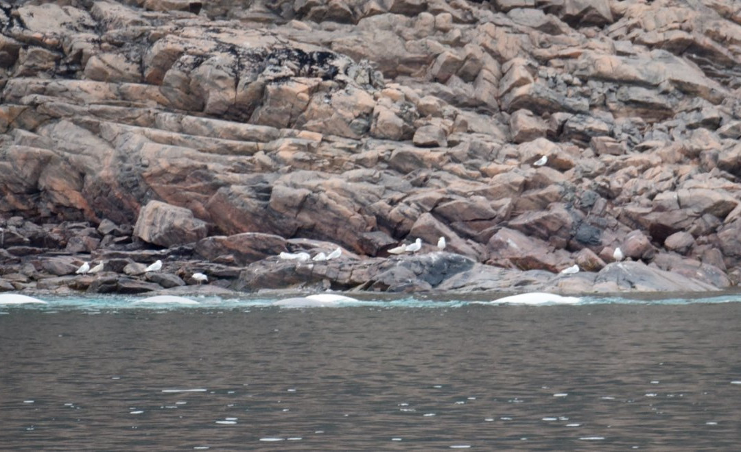 Ellesmere Island-Nunavut必去景点