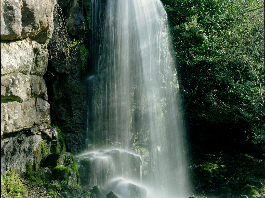 Kilfane Waterfall and Glen景点图片