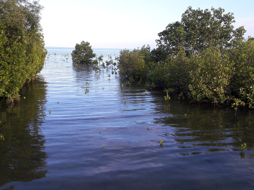 Mobod Fish Sanctuary景点图片