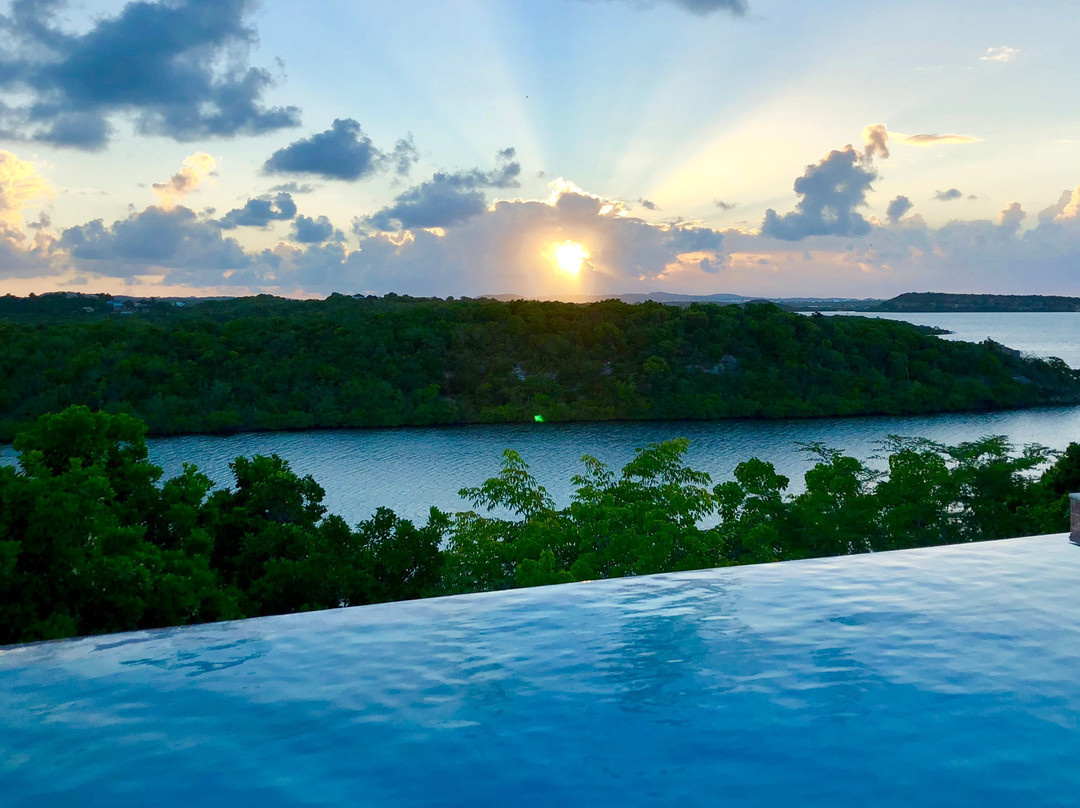 Willikies旅游攻略图片