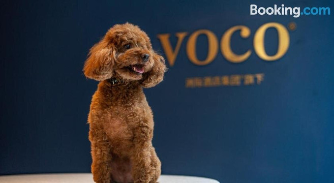 voco Nanjing Garden Expo by IHG主图