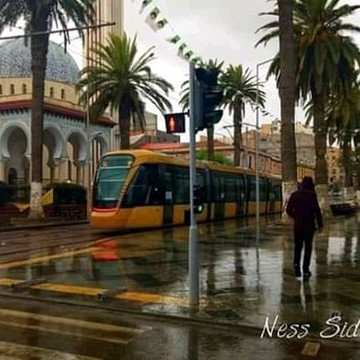 Sidi Bel Abbas旅游攻略图片