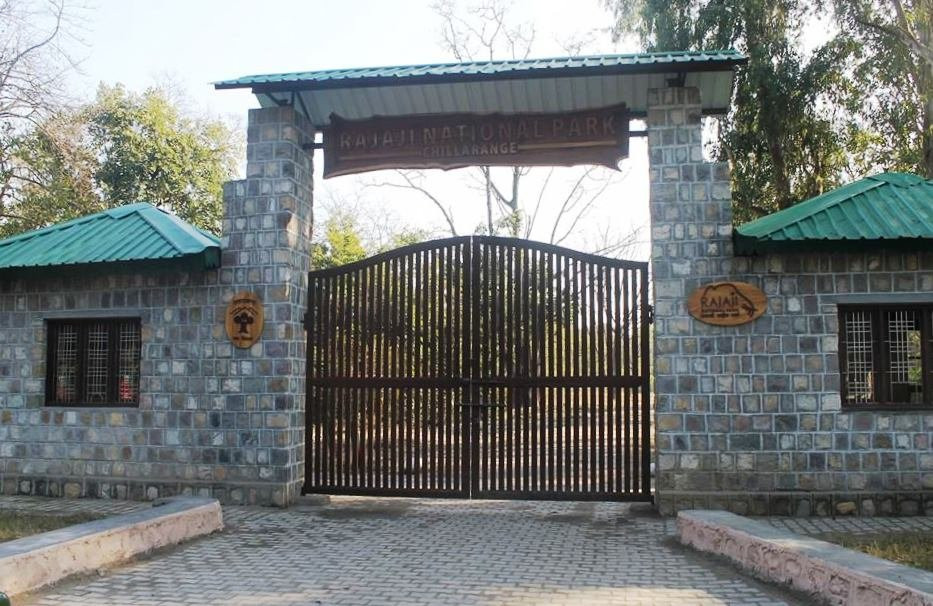 Rajaji National Park/Tiger Reserve Safari景点图片