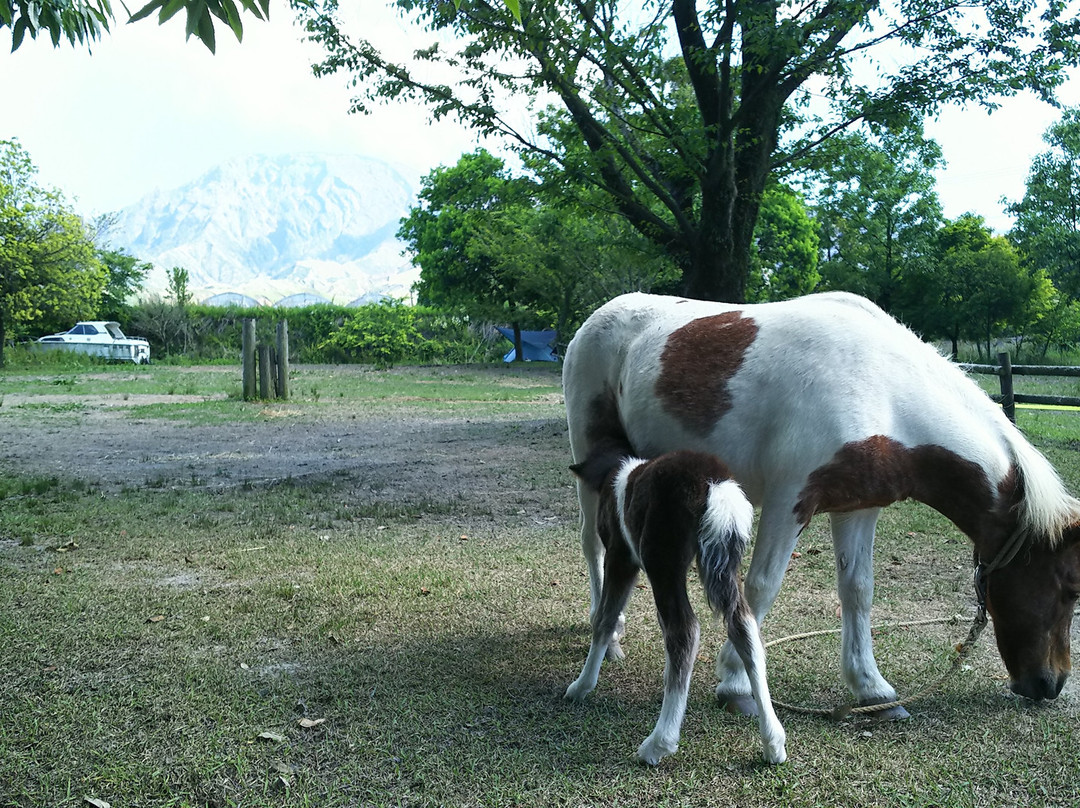 Mo-mo- Farm Takehara Bokujo景点图片