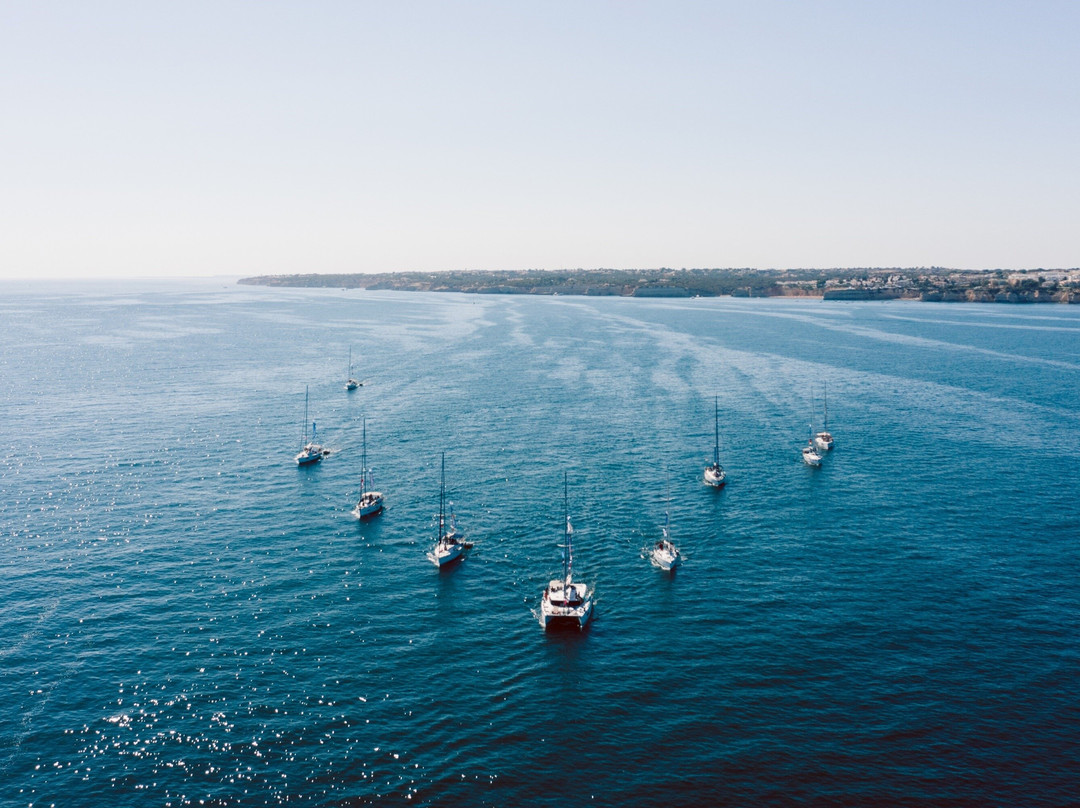 The Ocean Week - Sailing Experience-里斯本必去景点