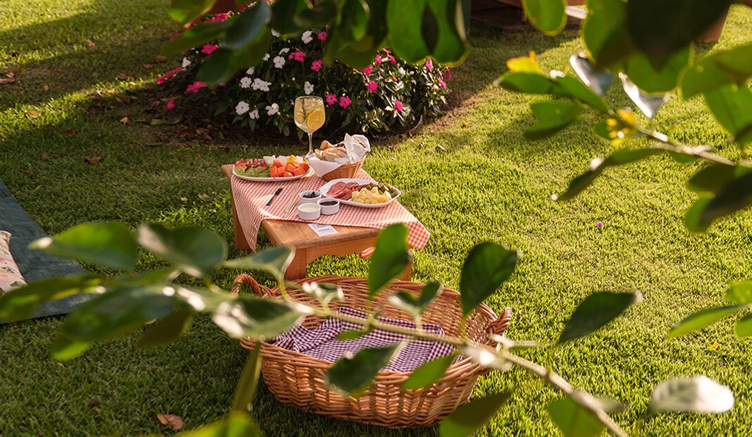 Vitiaceri Porto Alegre