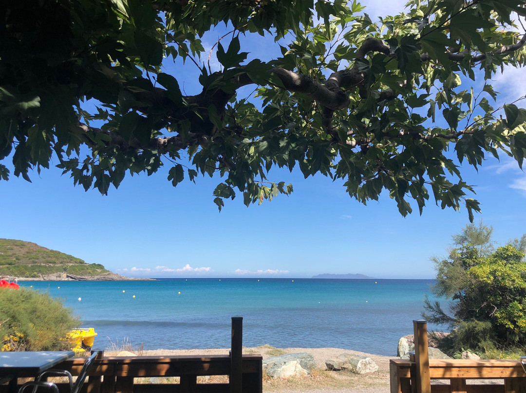 夏日会面酒店
