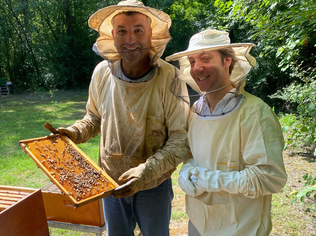 Beekeeper George & Premium honey tasting from Skadar lake