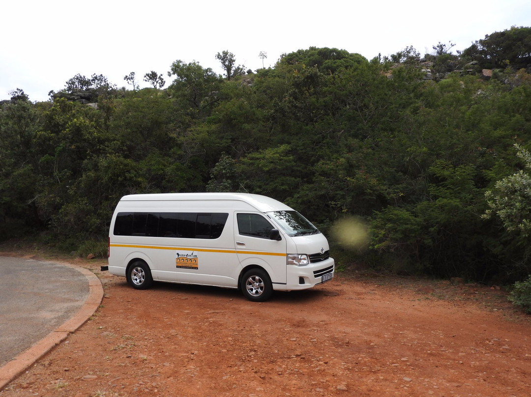 Dlamini 4 Africa Tours & Safaris-比勒陀利亚必去景点