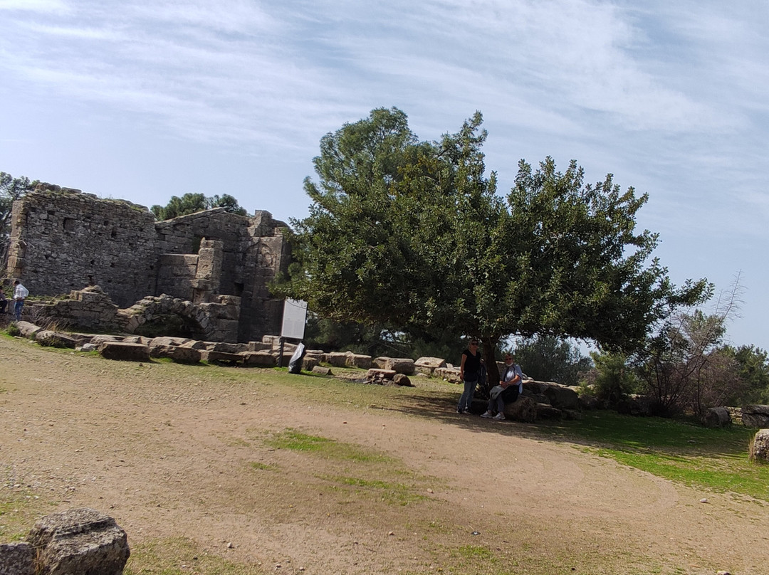 Seleukia (Lybre)景点图片