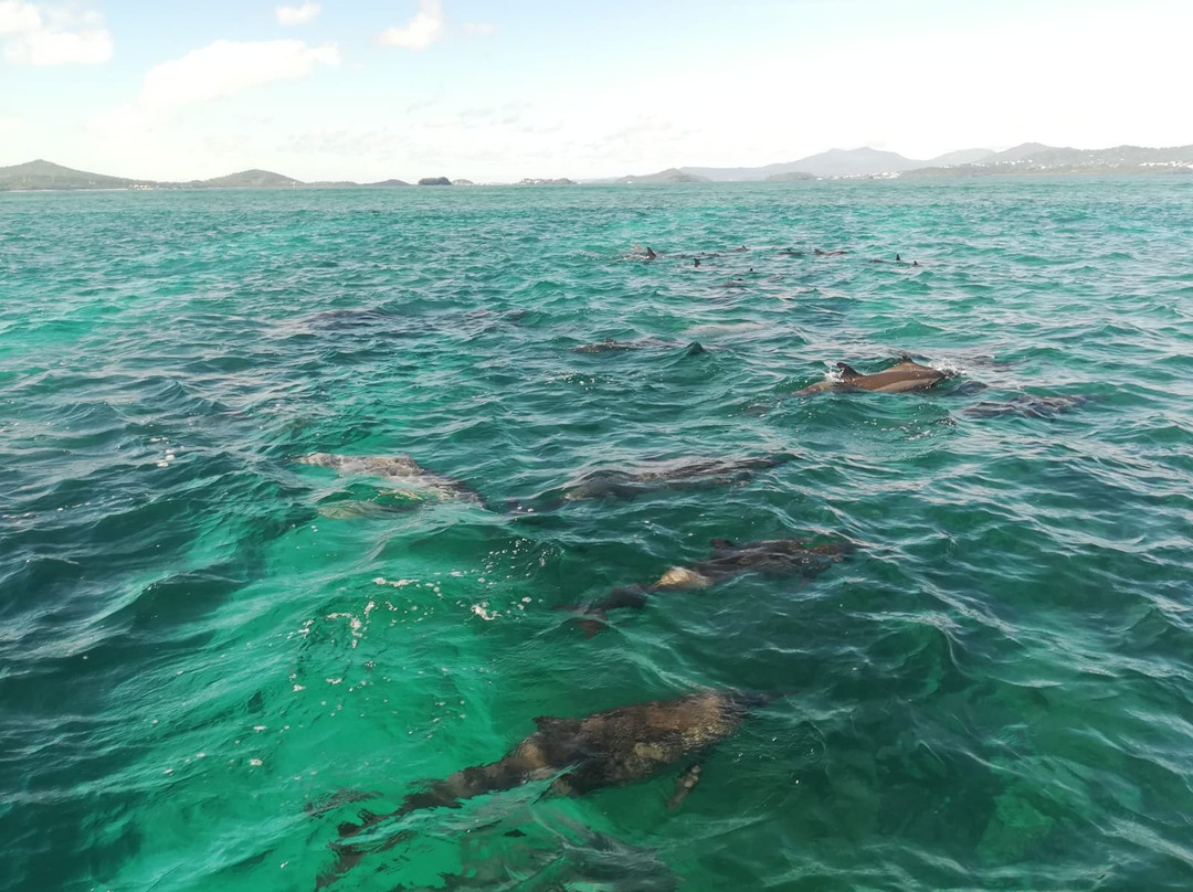 Mayotte Decouverte-Mamoudzou必去景点