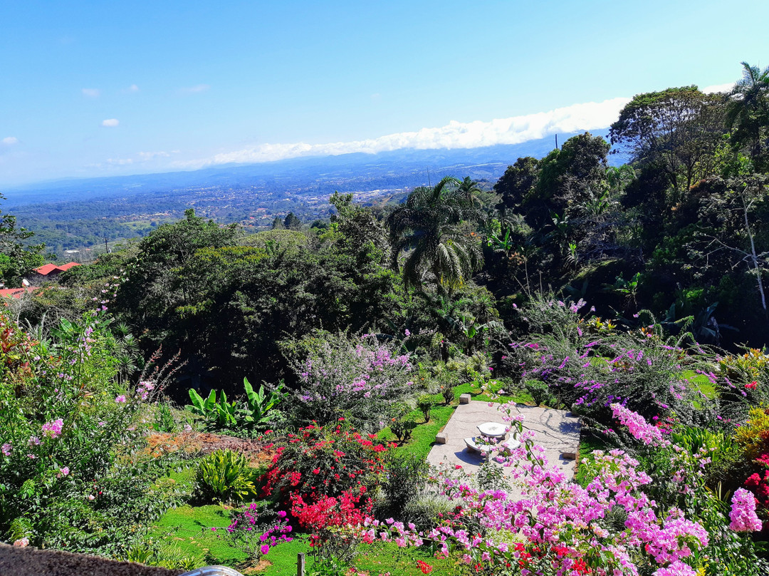 La Princesa Hotel主图