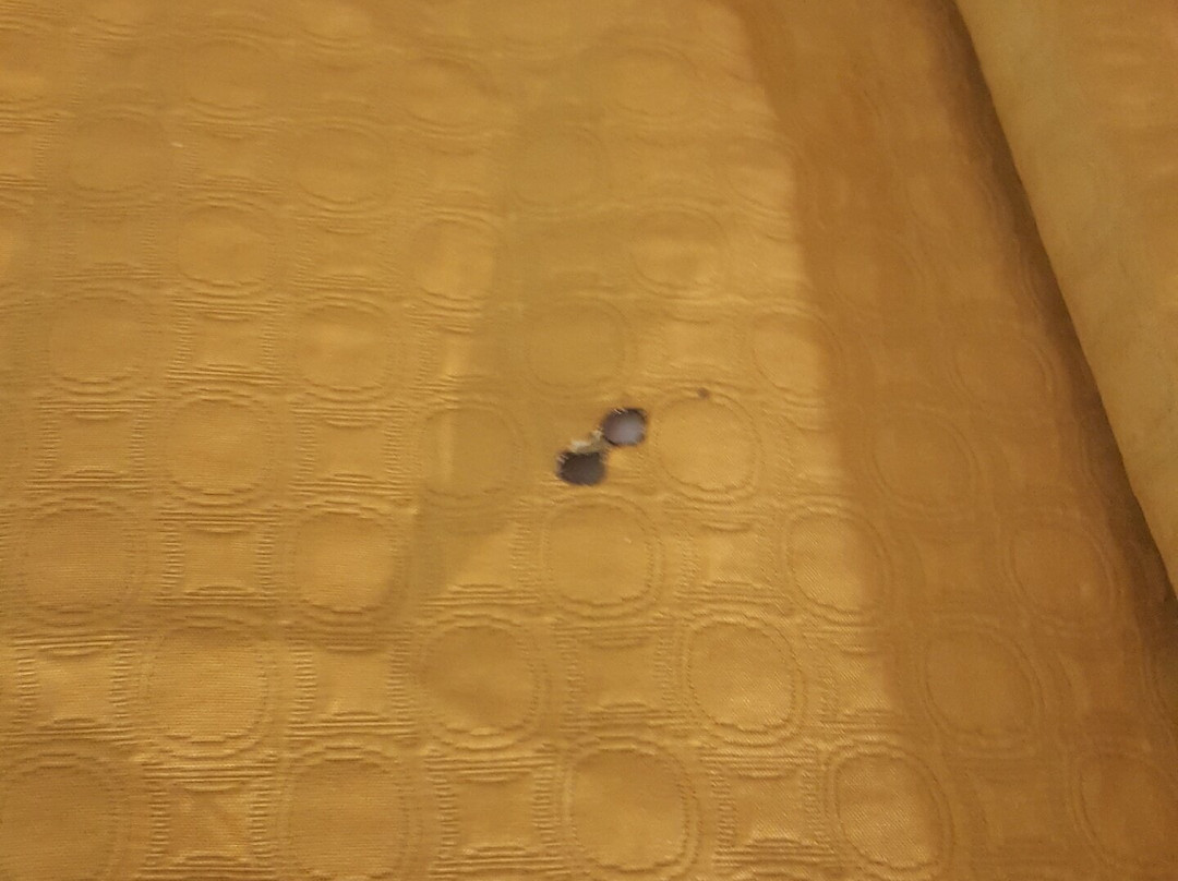 Super 8 by Wyndham Cornelia主图