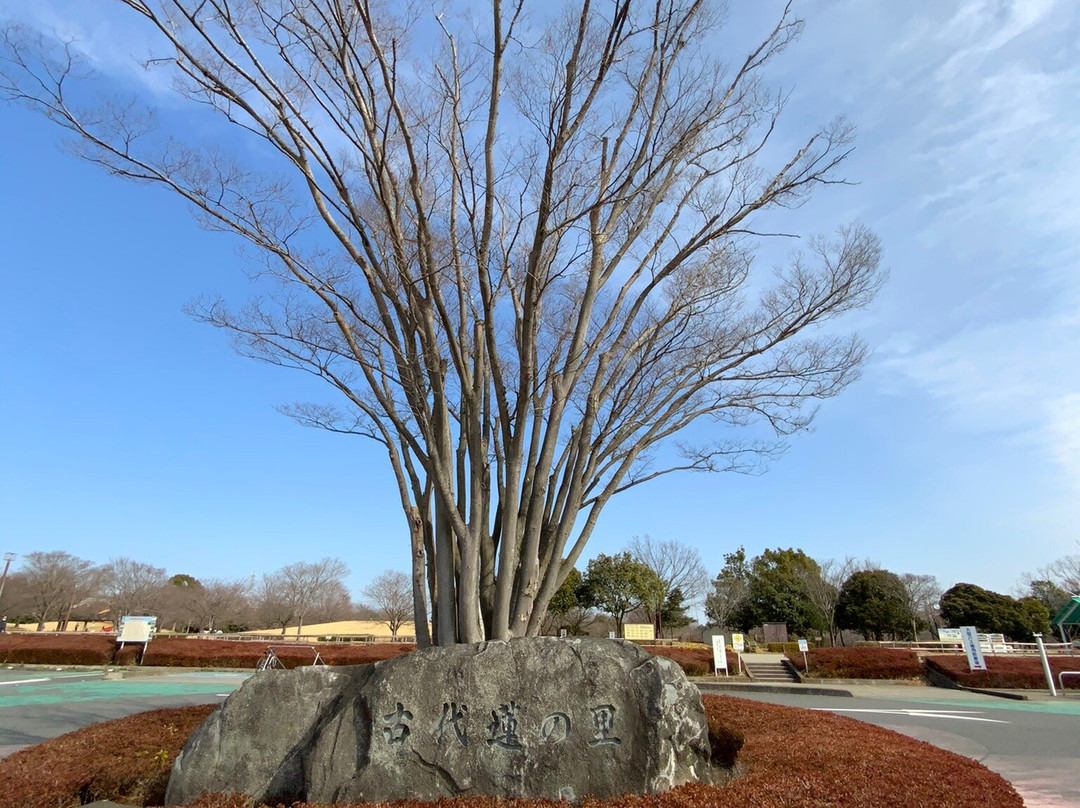 Kodai Hasunosato-行田市必去景点