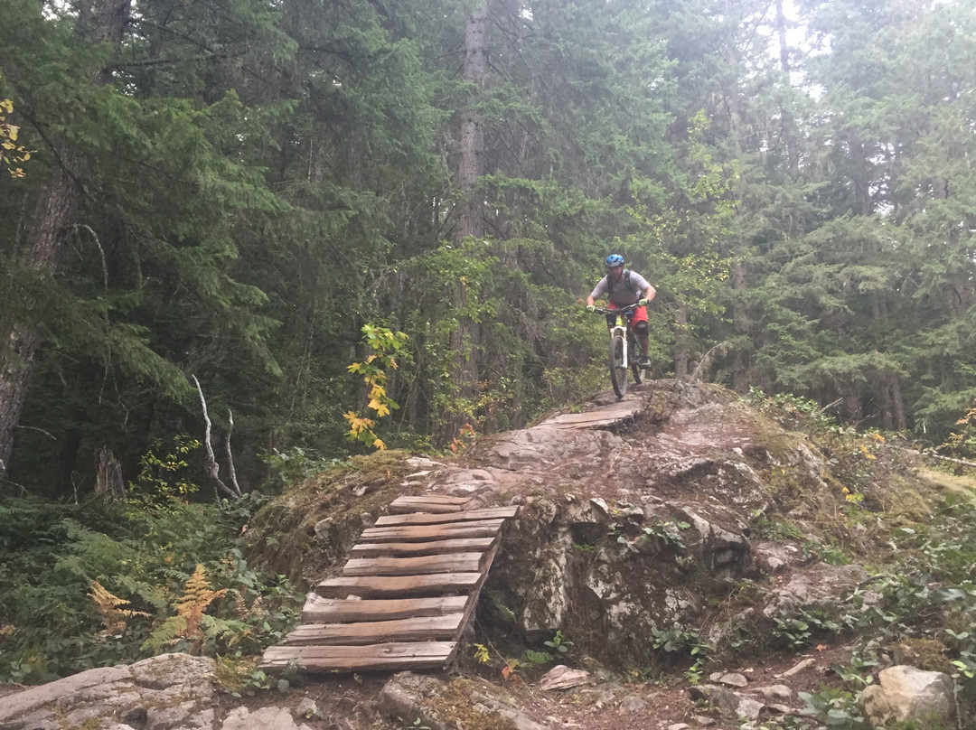 Flow Mountain Bike Adventures-坎莫尔必去景点