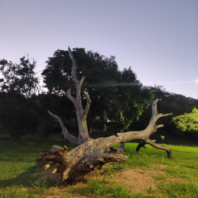 Povo Park-Presidente Prudente必去景点