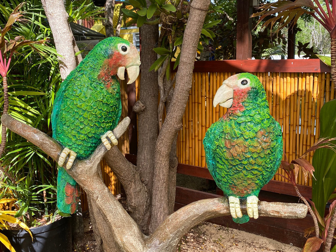 Cayman Parrot Sanctuary-East End必去景点