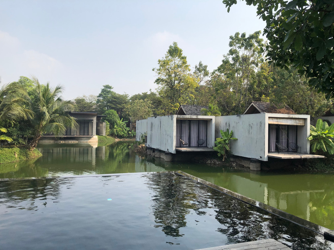 Into The Forest Resort主图