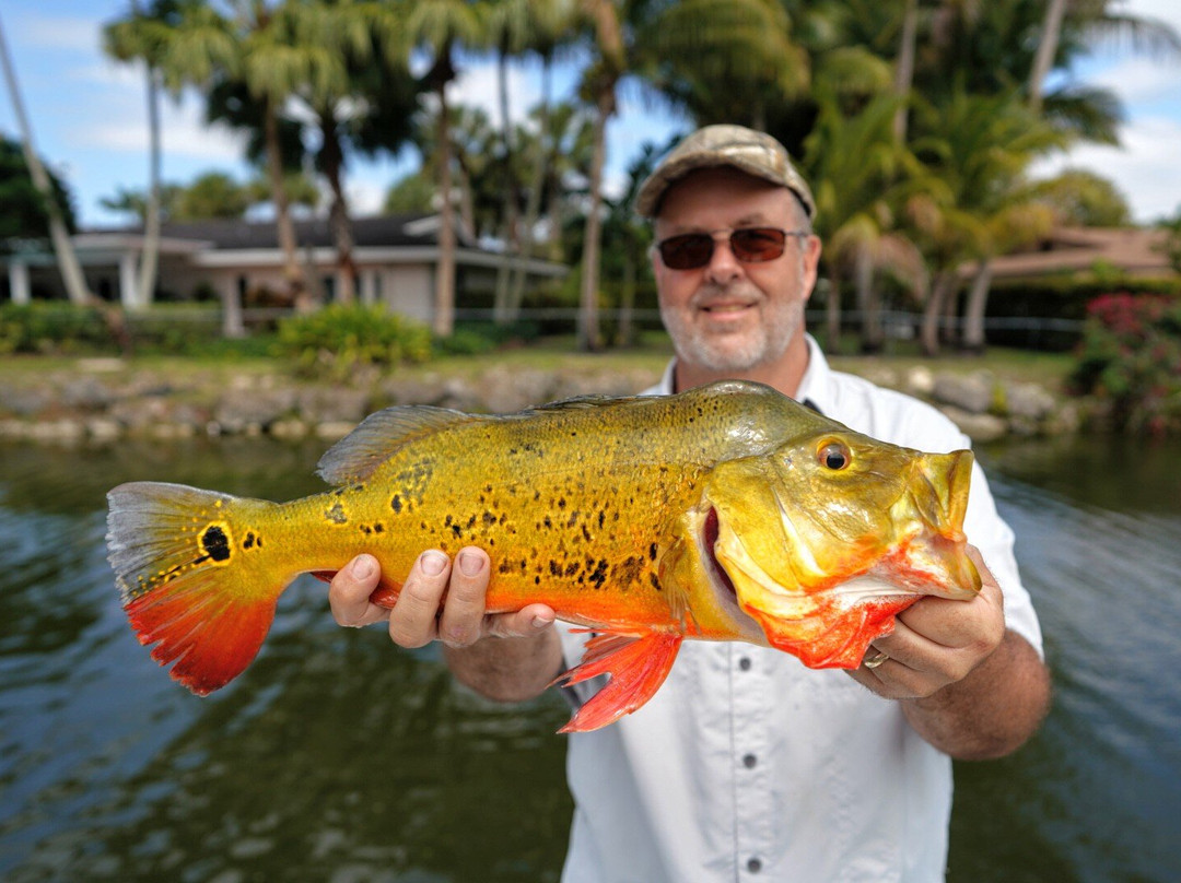 Miami Peacock Adventures - Day Tours-肯德尔必去景点