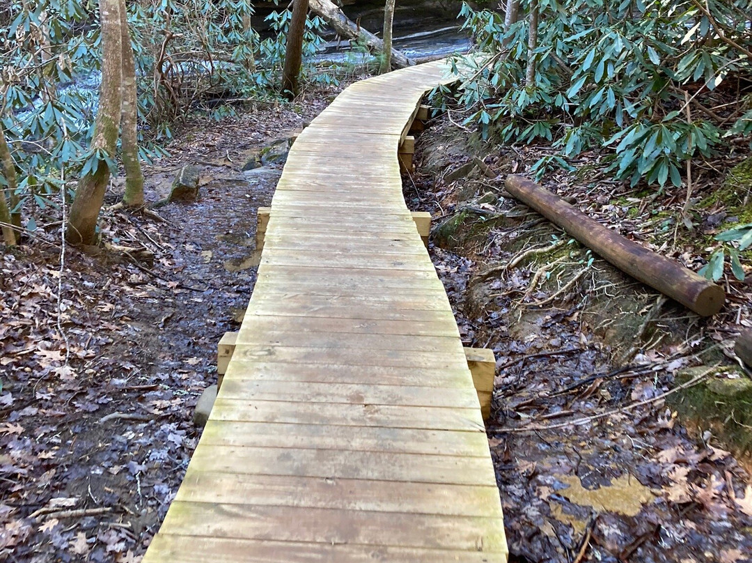 Cherokee Foothills Scenic Highway-南卡罗来纳必去景点