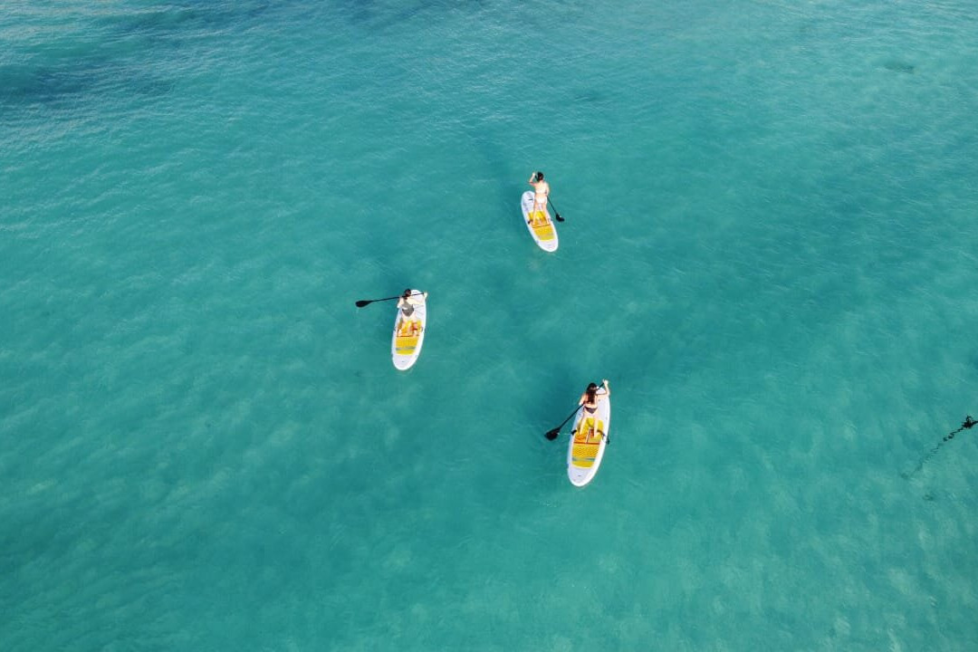 Balam SUP-普拉亚德尔卡曼必去景点