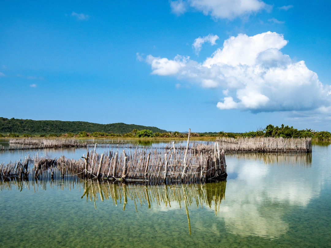Kosi Bay Casitas Tours-Kosi Bay必去景点
