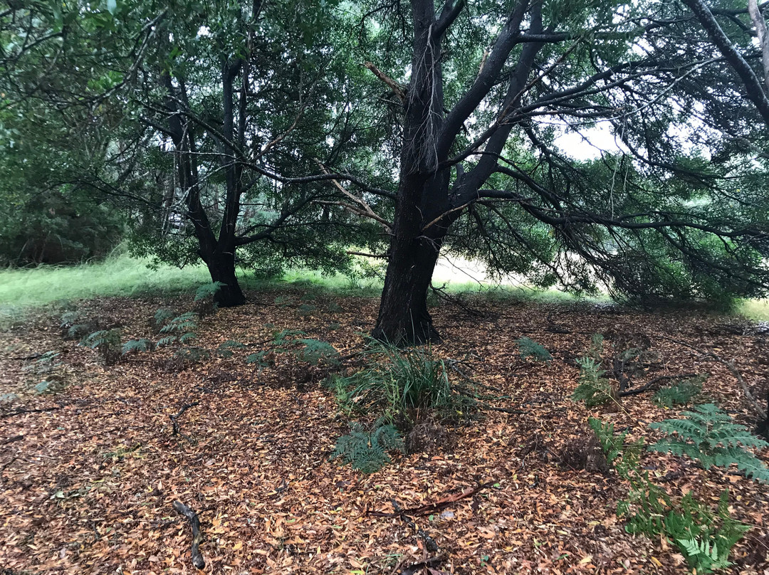 York Town Historic Site-Beauty Point必去景点