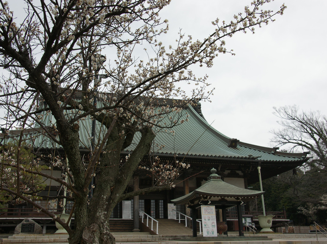 Shojoko-ji Temple (Yugyo-ji Temple)-藤泽市必去景点