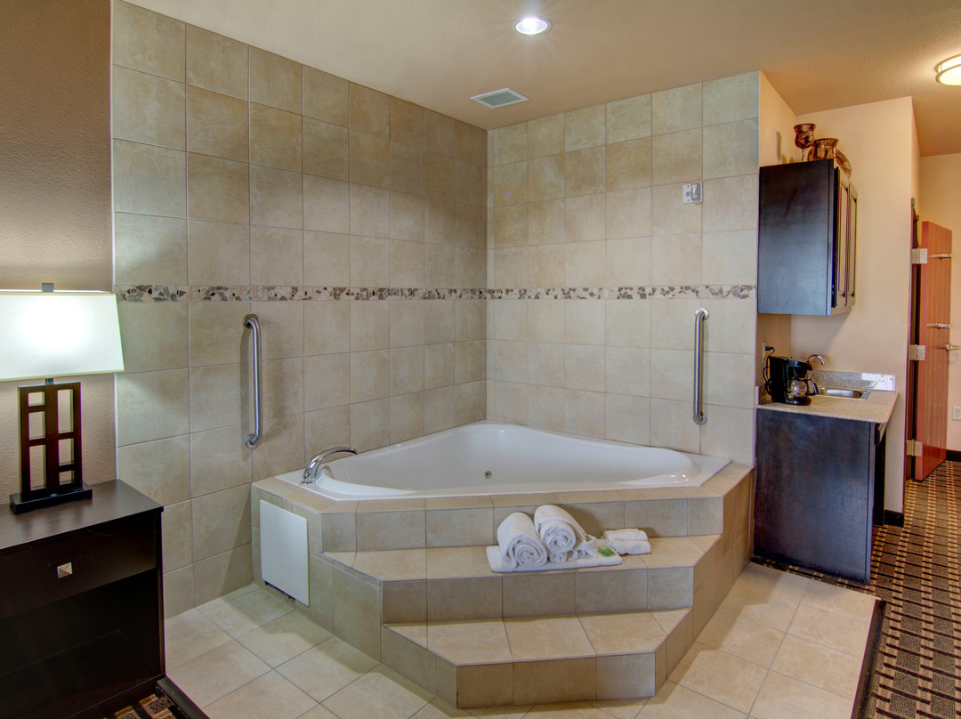 帕里斯快捷假日&套房酒店主图