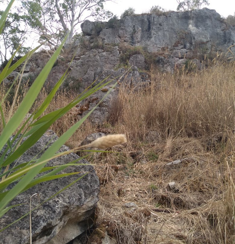 Limestone Cliffs Walk景点图片