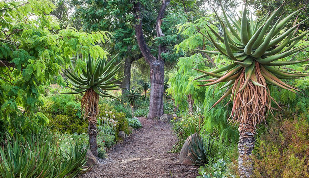 Taft Gardens & Nature Preserve-奥海必去景点
