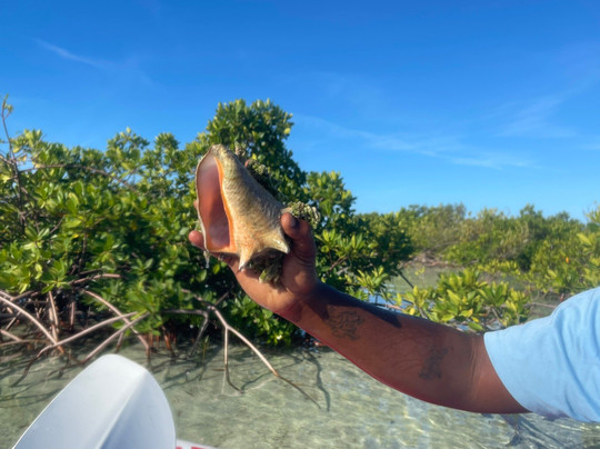 Turks Aqua Adventures-格雷斯湾必去景点