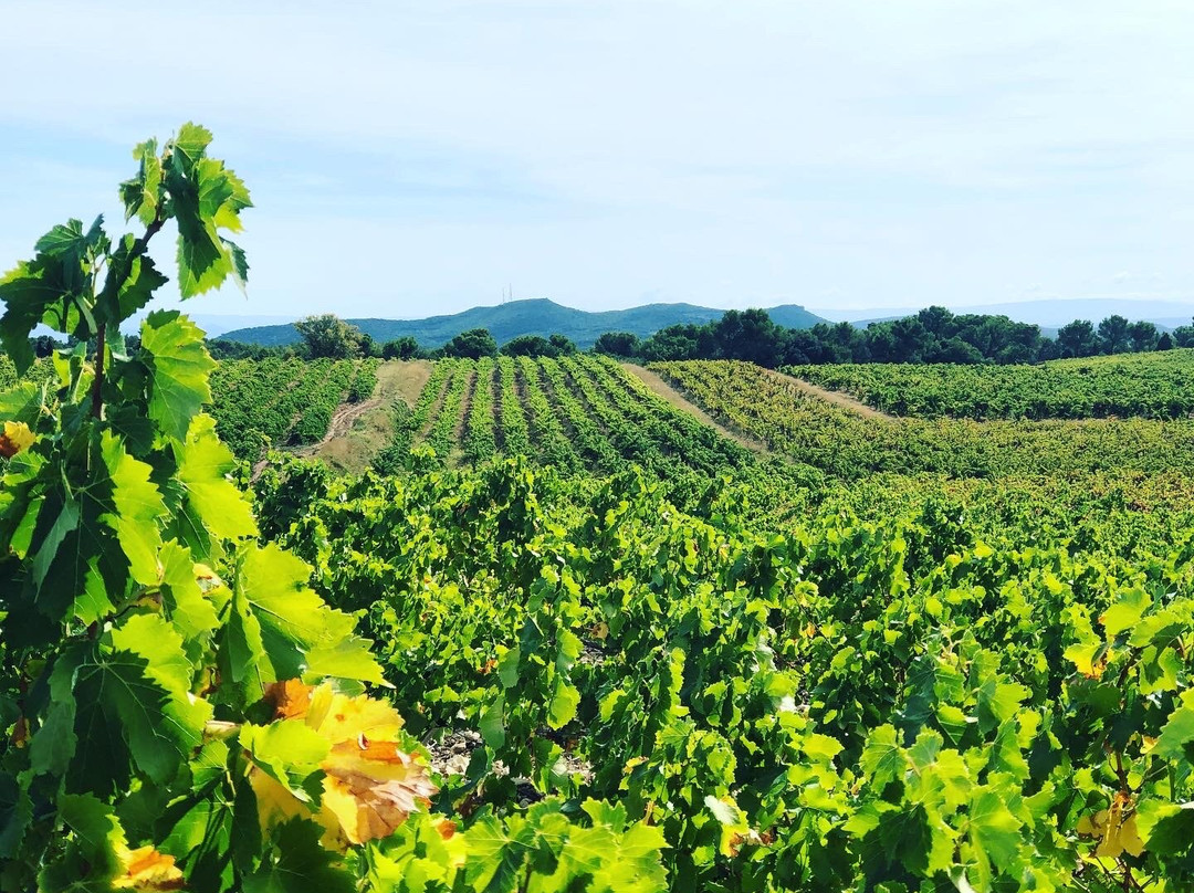 Domaine Clavel景点图片