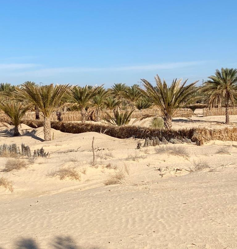 Grand Sud, la Maison de Sable