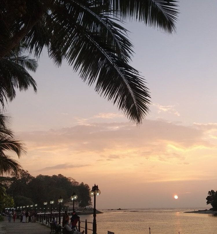 Tagore Park景点图片