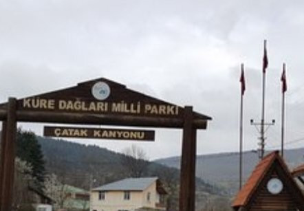 Kure Daglari Milli Parki景点图片