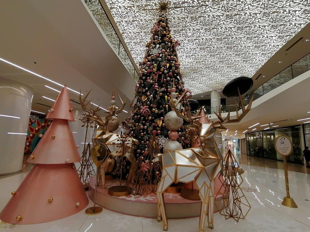 S Maison-帕塞必去景点