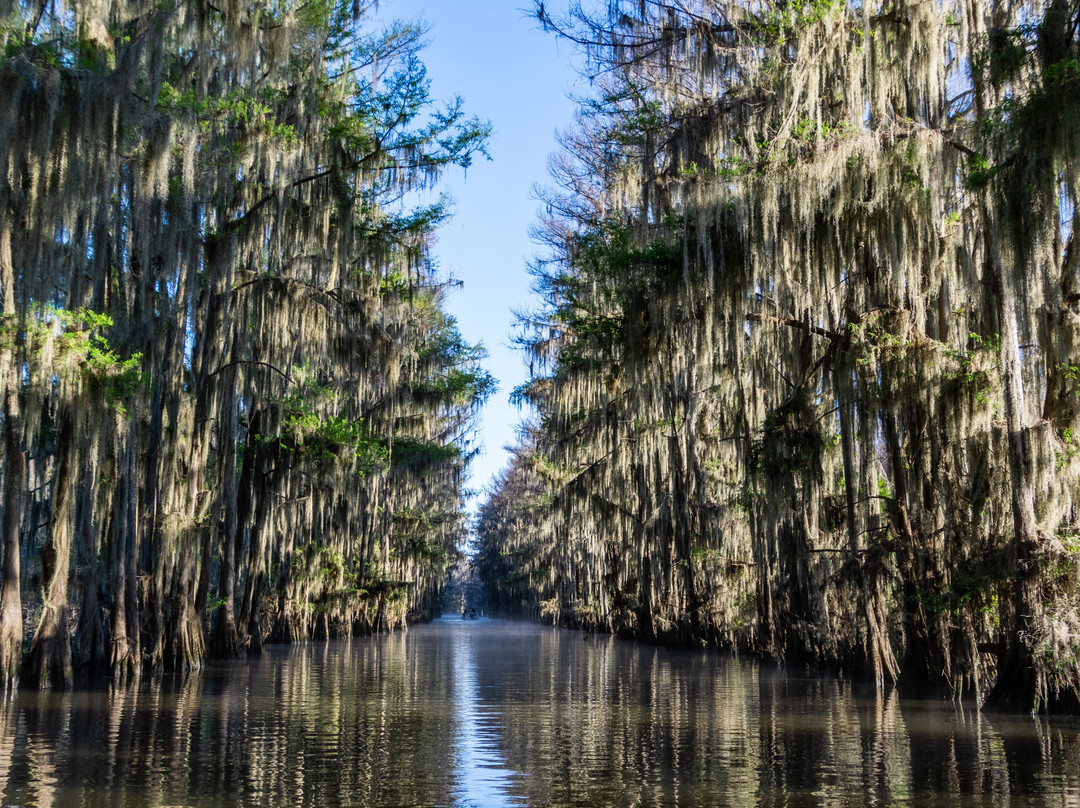 Mystique Tours Caddo - Private Tours-Karnack必去景点