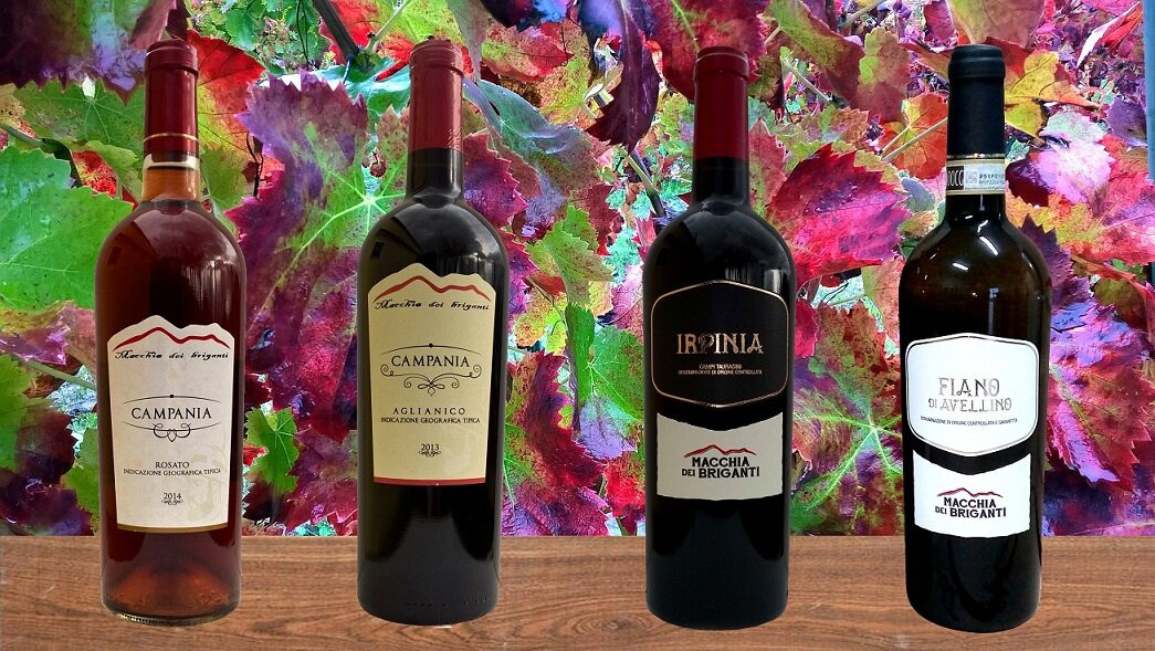 Cantina Macchia dei briganti景点图片