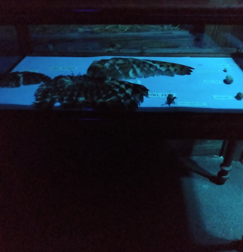 ZooAmerica North American Wildlife Park-好时镇必去景点