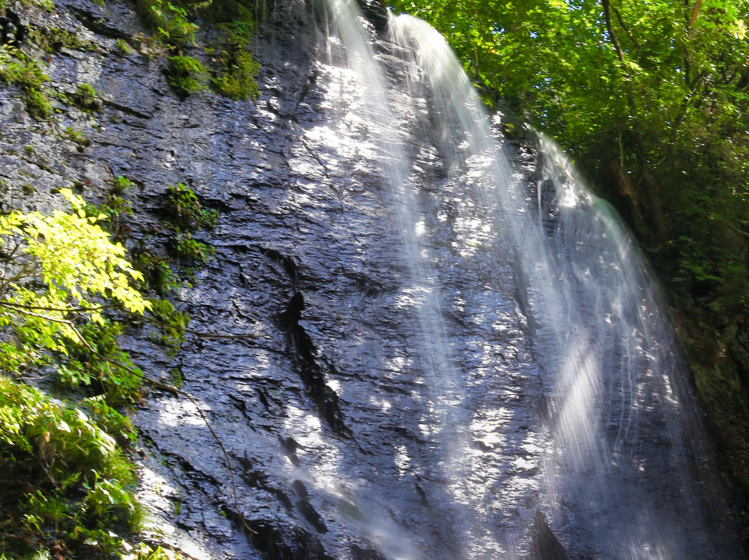 Shin Falls景点图片