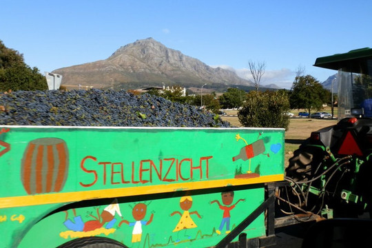 Our African Safaris-开普敦中心区必去景点