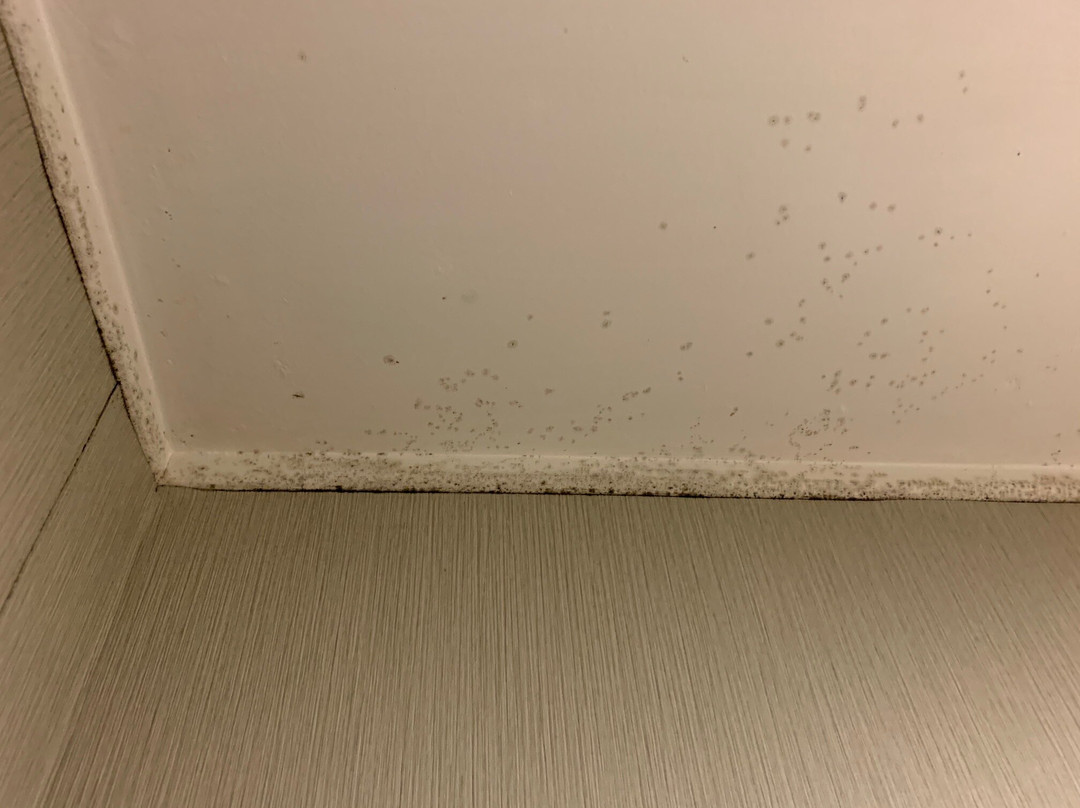 Quality Inn Cambridge主图