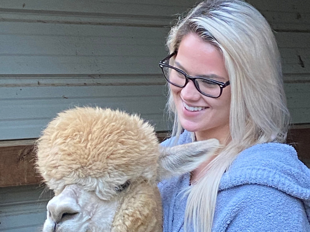 Cobb Creek Cabins主图