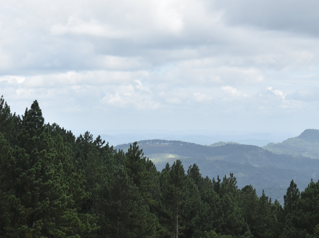 Hanthana Mountain Range景点图片