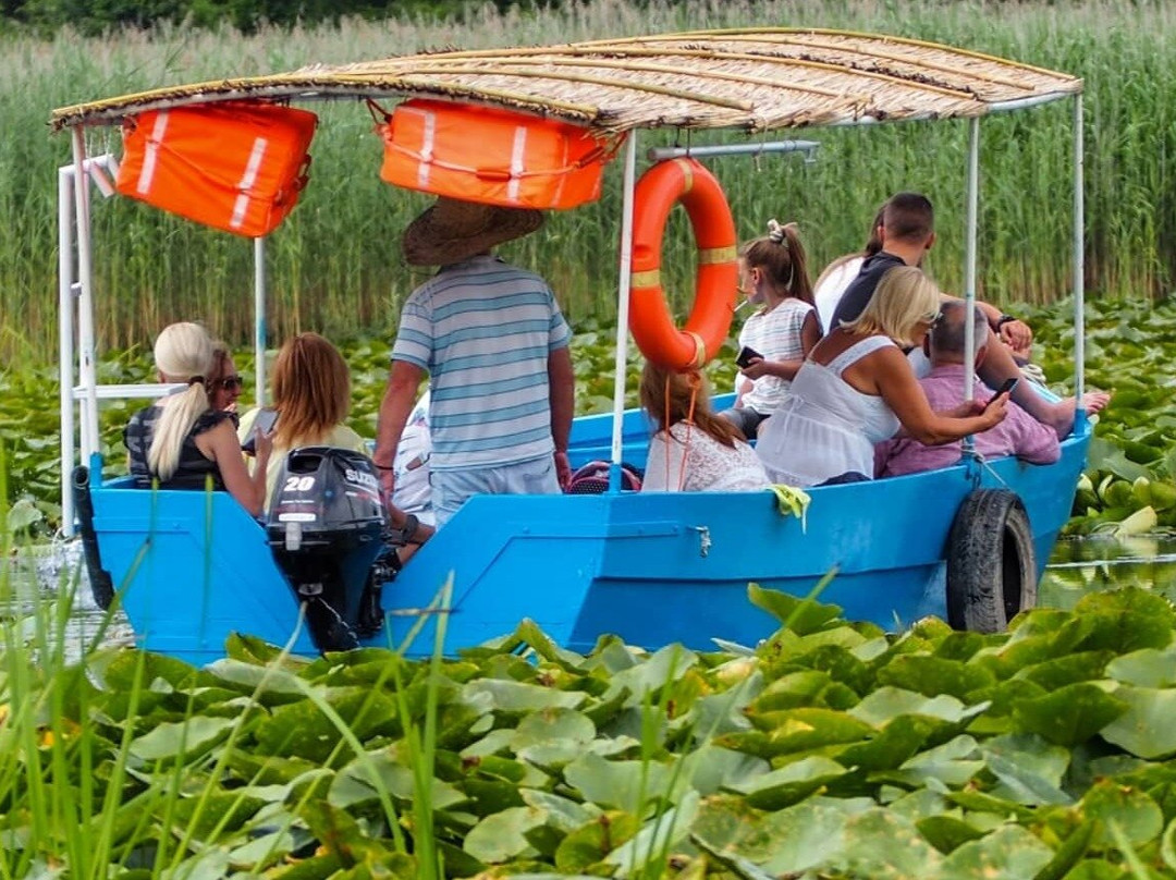 Monte Frog Boat Cruise-维尔巴札拉必去景点