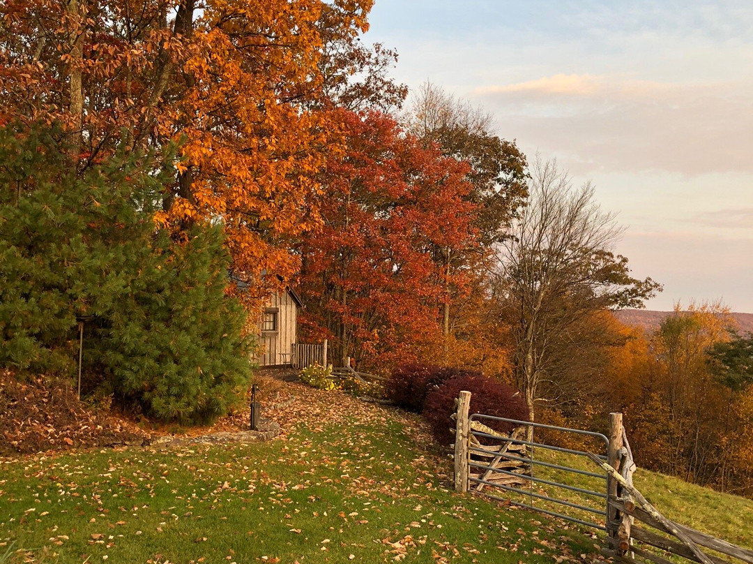 Laurel Point Retreat主图