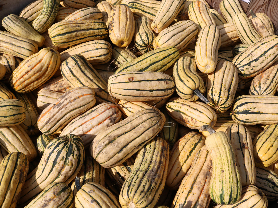 Hager's Farm Market-Shelburne Falls必去景点