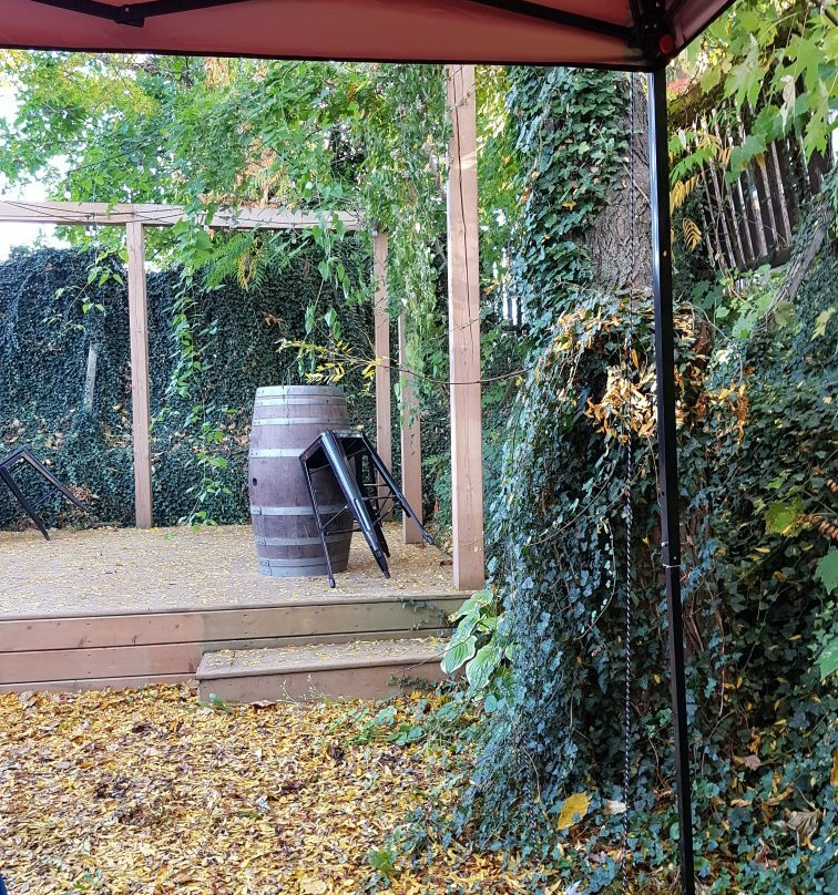 Lock Street Brewing Company-圣凯瑟琳斯必去景点