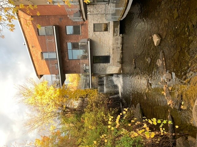 Almonte Riverwalk景点图片
